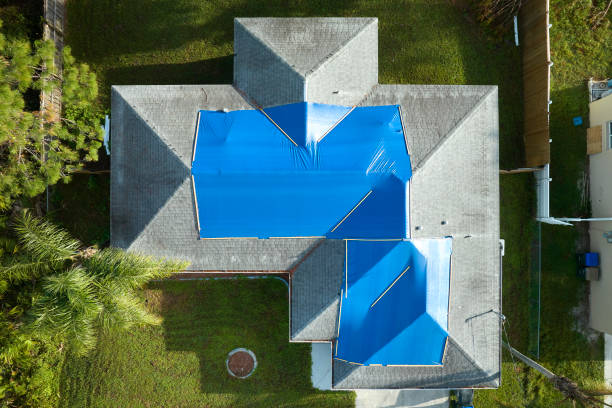 Best Asphalt Shingles Roofing  in Kitsap Lake, WA